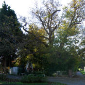 MariaAnDerLindeUebersicht600.jpg (554795 Byte)
