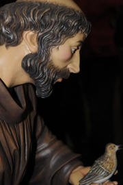 Franz a 600.jpg (166537 Byte)