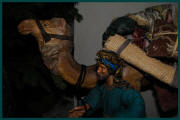 Weihnachten_2010_800_027.jpg (87608 Byte)