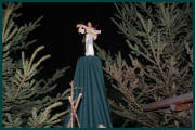 Weihnachten_2010_800_029.jpg (151417 Byte)