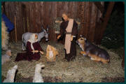 Weihnachten_2010_800_033.jpg (150125 Byte)