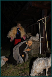 Weihnachten_2010_800_037.jpg (193792 Byte)