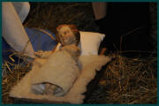 Weihnachten_2011_800_083.jpg (71849 Byte)